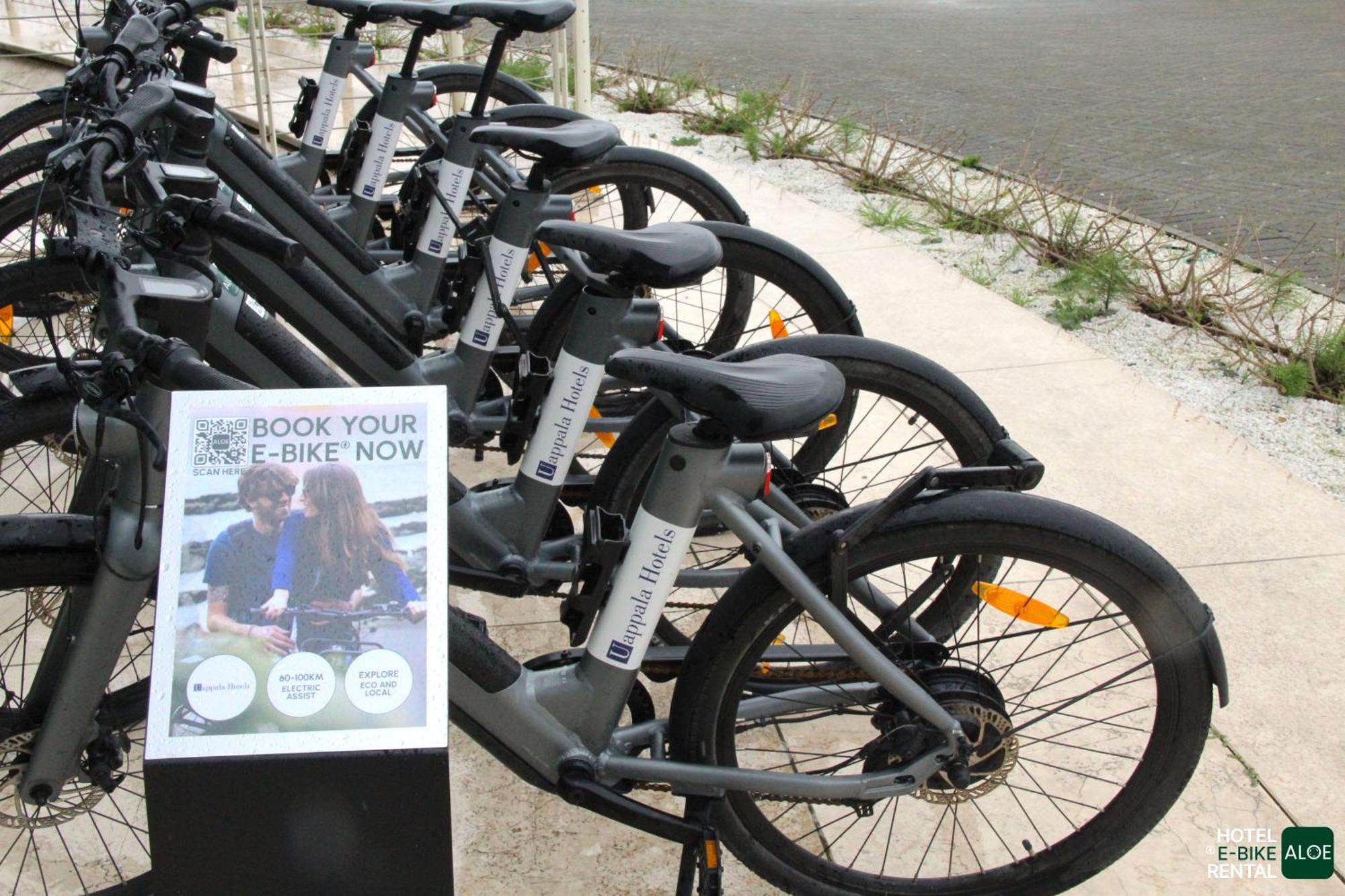 Pisa Tower Plaza Hotel Kültér fotó Free bikes for students